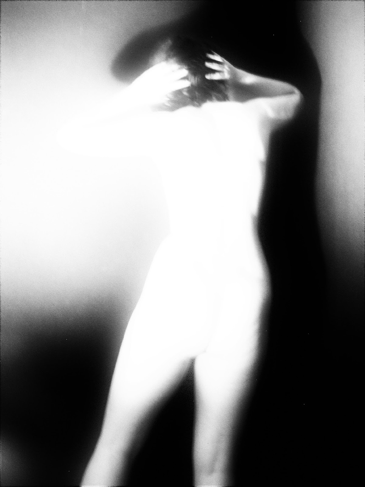 Hirondelle de plâtre